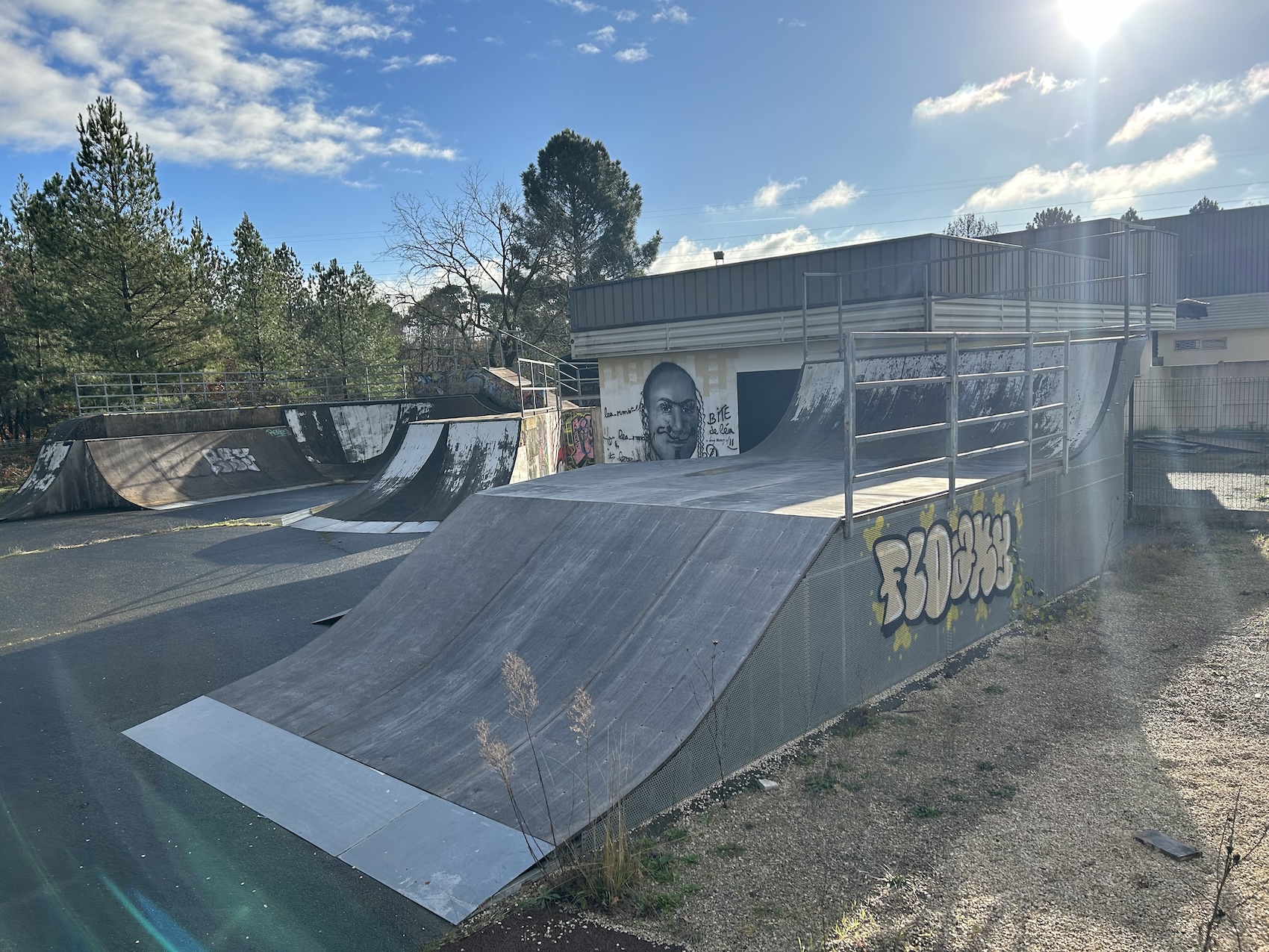 Cestas skatepark